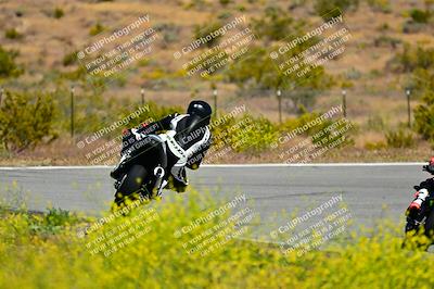 media/May-10-2024-2WTD (Fri) [[c88d7990af]]/Group B/Session 2-The Bowl/
